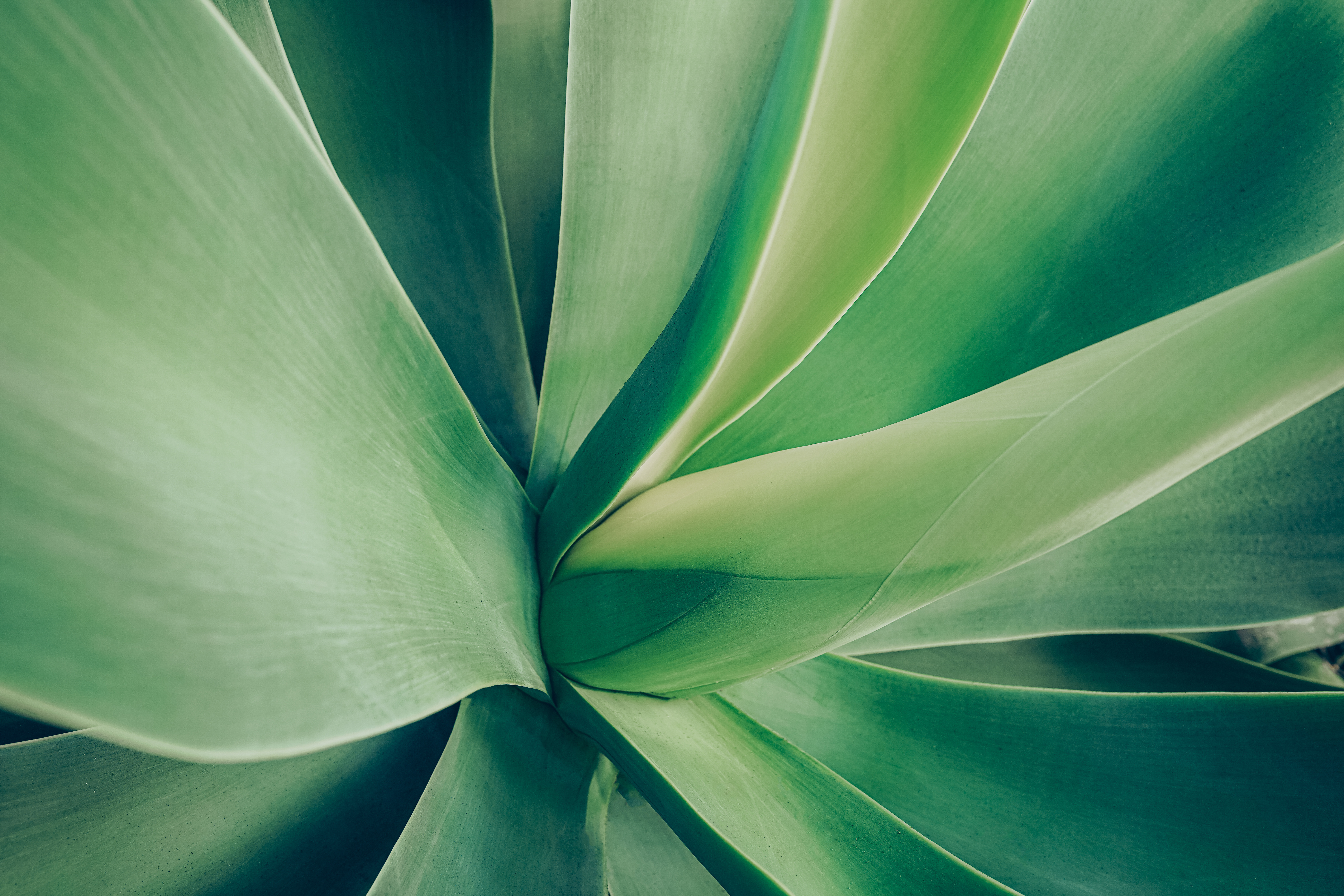 Adobestock 571373412