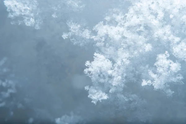 Pensions Disputes | Legal Services